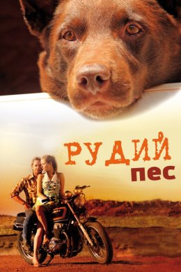 Рудий пес